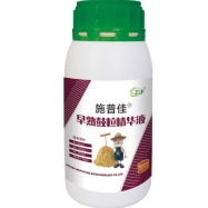 早熟鼓粒精华液