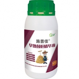 早熟鼓粒精华液